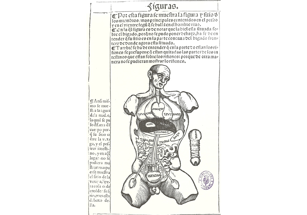 Libro anatomía-Montaña Monserrate-Sebastián Martínez-Incunabula & Ancient Books-facsimile book-Vicent García Editores-10 Organs